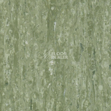 Линолеум Tarkett iq Optima Sage Green 0836 фото 1 | FLOORDEALER